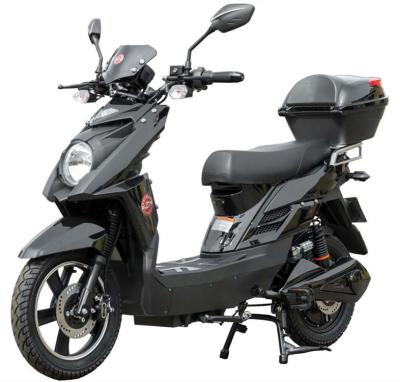 China New Arrival Electric Motorbike 48V 500W Strong Power 800W Pedal Assist Electric Bike Motorcycles for sale