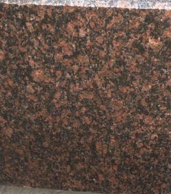 China Modern Absolute Mozambique Granite Polished Stone Style Red Stone Style Exterior Hotel Design Support BrSale Modern Technical Cut Shape Origin for sale