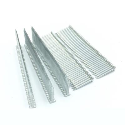 China Professional High Quality Industrial Iron Brad Steel Nails Building Nails for sale