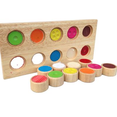 China Eco-Friendly Memory Match Colors Sensory Challenge Colors Montessori Training Equipments for sale