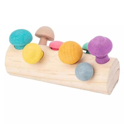 China Fun Eco-Friendly Material Macaroni Etsy Wooden Mushroom Picking Toys Simulation Hearth Training Montessori Material Infant Baby Early Educational Toy for sale