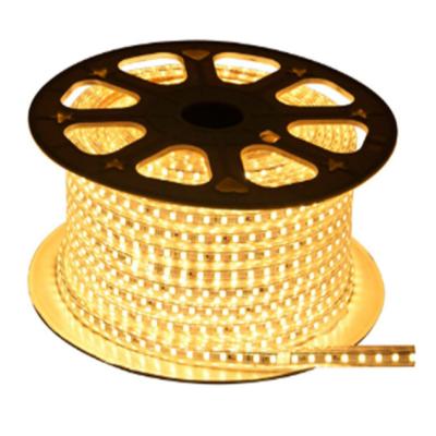 China LANDSCAPE 100m/roll led strip light 220-240V 5050 RGB strip led flexible light for sale