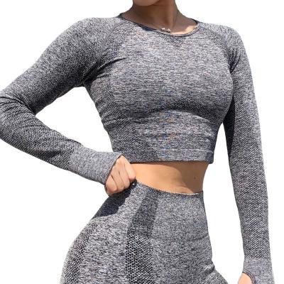 China Anti-Wrinkle Women's Yoga Set Anti-Wrinkle And Sport Set Yoga Gym Gaiters Spring Women's Seamless Apparel Grown Top Fitness Suit for sale