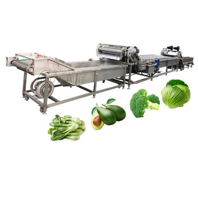 China Bubble Peeling Brush Vegetable Washing Machine 300-500kg/H For Carrot Cassava Apple for sale