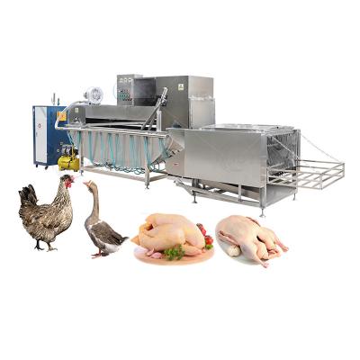 China Food Shop Automatic Halal Poultry Chicken Slaughtering Machine for Quail Processing for sale