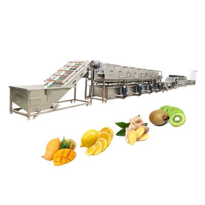 China OEM/ODM Bubble Washing Line Cleaning Machine For Vegetables Fruits Mushrooms for sale