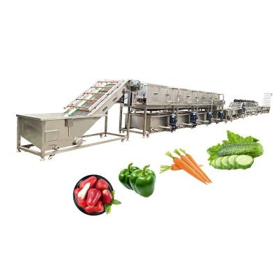 China 4500w SUS 304 Vegetable Fruits Mushroom Bubble Washing Cleaning Line for sale