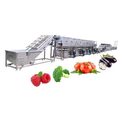 China Multifunction Mesh Belt Conveying Fruits Mushroom Vegetable Processing Line for sale