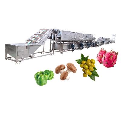 China Bubble Washing And Air Drying Mushrooms Fruit And Vegetable Processing Line for sale