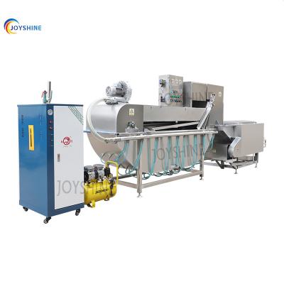 China Small Scale Chicken Slaughtering Line with Gas Heating Feather Removal Equipment for sale