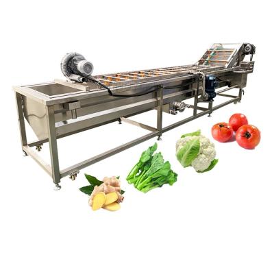 China 500kg/h Conveyor Belt Fruit Vegetable Bubble Washer Machine for Farm Orchard in Australia for sale