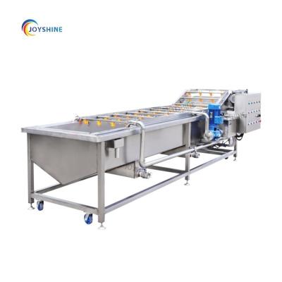 China Long Service Life Industrial Fruit and Vegetable Washer Machine with 1000kg/h Capacity for sale