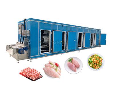 China Frozen Vegetables Processing Line Tunnel Freezer 1000kg/H Chicken Freezer for sale