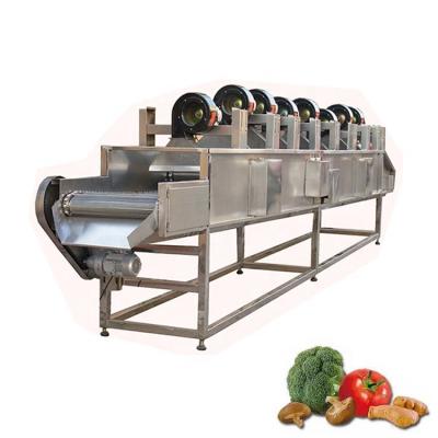 China Dates Processing Machine Industrial Air Drying Machine For Fruits And Vegetables for sale