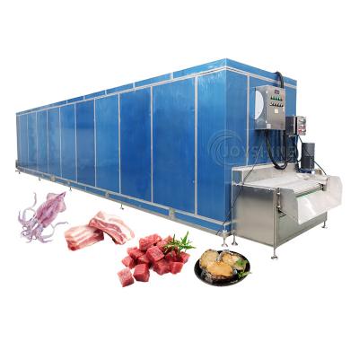 China Joyshine Iqf Fruit Instant Freeze Machine for Frozen Vegetables Processing Line 2.75KW for sale