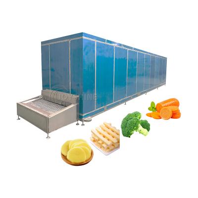 China Food Quick Frozen Machine Joyshine Iqf Freezer Machine Tunnel For Quick Freezing Fish for sale