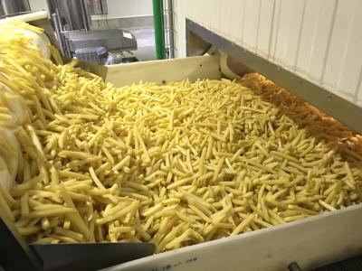 China Línea de producción de papas fritas industriales totalmente automática con grado automático en venta