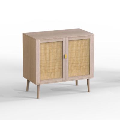 China Rattan design best-selling rattan furniture living room storage cabinet with 2 door for sale