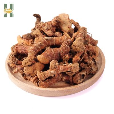 China Alpinia Dry Whole Galangal Dried Galangal For Sale for sale