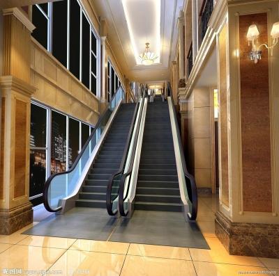 China inclination 30 degree or 35 degree step width 600, 800, 1000 mm, lift height 4 meters, 4.5 meters, indoor & outdoor escalator for sale