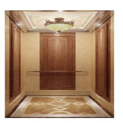 China Indoor Commercial Stainless Steel Elevator Full Collection GSM-B1 Costomized zu verkaufen