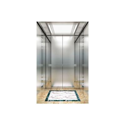 China Professional Supplier Plastic Sprayed Steel Plate Glass Domestic Lifts Passenger Elevator for sale