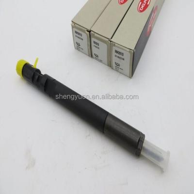 China high quality common rail injector fuel injector R04201D 10*5*5 for sale