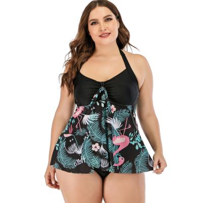 China 2 Piece Windproof Plus Size Big Code Women Swimsuit for sale