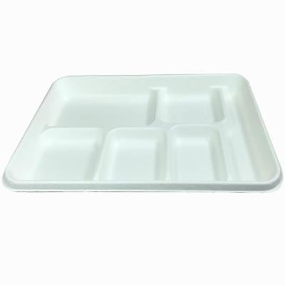 China 100% Compostable Biodegradable Natural Disposable Tableware Aceite Heavy Duty 6 Compartment Store for sale