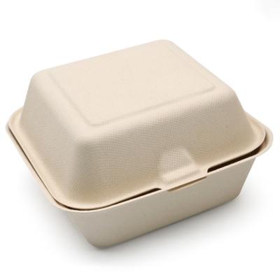 China Biodegradable Compostable Bagasse Pulped 6