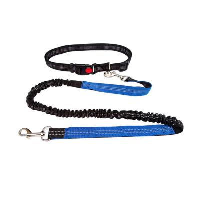 China Custom Reflective Colored Nylon Padded Adjustable Light Weight Size Dog Leash for sale