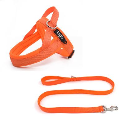 China Professional Strong Comfortable Orange Color Padded Collar Leash Durable Set for sale