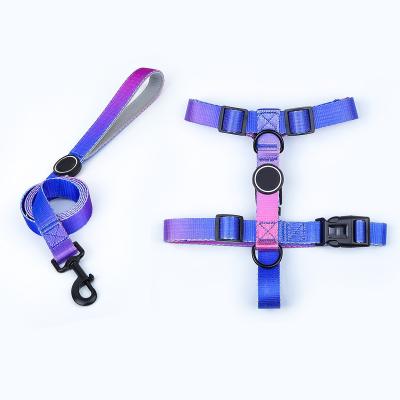 China Light Up Soft Colorful Waterproof Dog Training Harness And Leash Dog Harness Set for sale