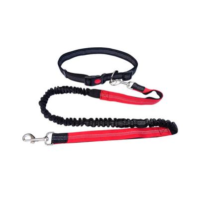 China Padded Walking Training Handle Two Free Thoughtful Adjustable Pull Handle Dog Leashes for sale