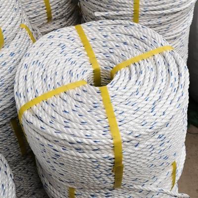 China Durable high tensile pp danline rope factory packing pp rope twisted danline rope for marine for sale