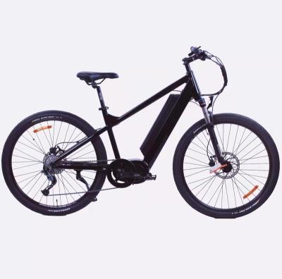 China 2021 Wholesale Pedal Assist Mountain Electric Bike for sale, Mountain E-Bike for adult for sale