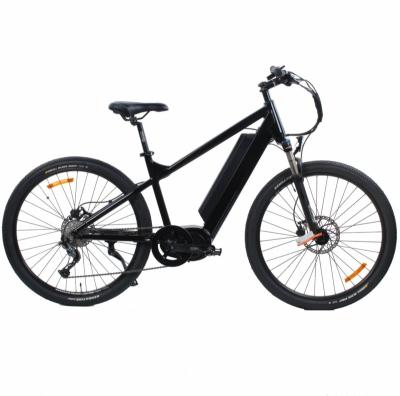 China Max Speed Power Classic 1000w Lithium Battery Mountain City Electric Bike for sale