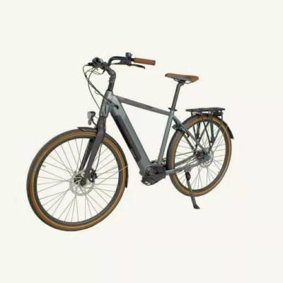 China Custom Fat Tyre 24 Speed Pedal Assist 26'' Aluminum Frame Mountain Electric Bike en venta