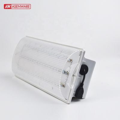 China Rechargeable Emergency Lighting TUV LED Certificate Emergency Lighting 3W 220VAC Emergency Lamp 130lm Fire Escape for sale