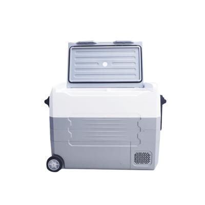 China China-chic new OEM 12V/24V/220V DC/AC cooler box showcase mini fridge refrigerated sushi customized mini fridge for sale