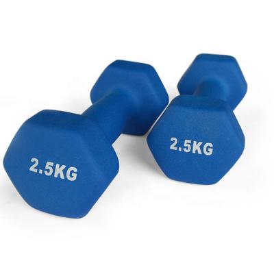 China Universal Fitness Equipment Mini Small Eco-friendly Strength Chest PVC Scrub Dumbbell Fitness Equipment for sale