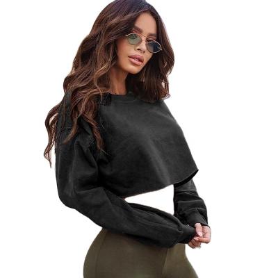 China Wholesale Custom Blank Top Crewneck Crop Anti-wrinkle Thin Pullover Hoodies Sweatshirts For Women for sale