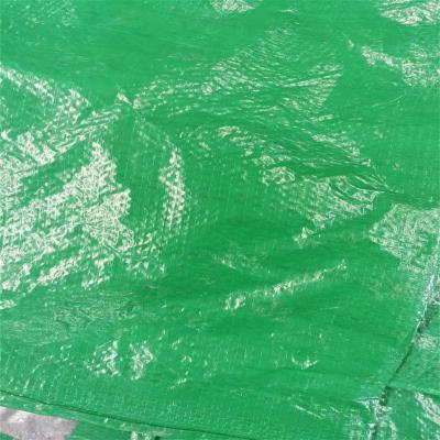 China Green Waterproof Heavy Duty PE Thicken Outdoor Plastic Linoleum Truck Garden Sun Protection Rainproof Tarpaulin for sale