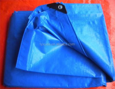 China Moderate Cost PE Tarpaulin Waterproof PE Tarpaulin PE Tarpaulin PE Tarpaulin for sale