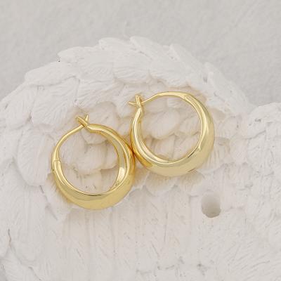 China New Trendy Fashion Women Earrings Trendy Circles 925 Silver Gold Plated Stud Earrings Office Lady Fashion Earrings 2021 Trend for sale