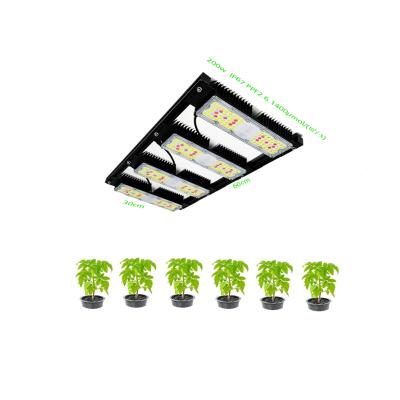 China Fruit Vegetable Greenhouse Flower Growing Lights 2 Years Warranty 8pcs 150w Full Spectrum Led Grow Light From Hydraulic Original Plant for sale