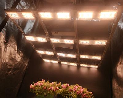 China Fruit Vegetable Greenhouse Flower Growing Lights Wholesale High 3000K COB Spectrum 800w PPFD Full CCT Full Led Grow Lights For Medicinal Plants for sale