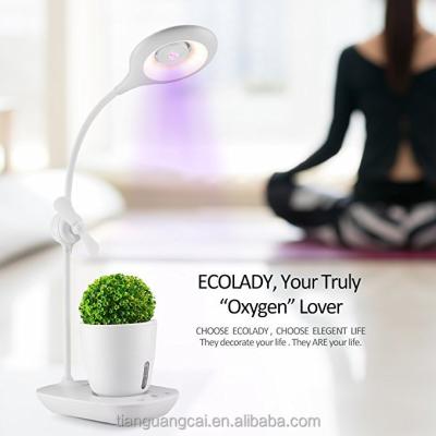 China Modern China Supplier Home Decor For LED Factory Grow Planting Touch Full Spectrum Desk Lamp for sale