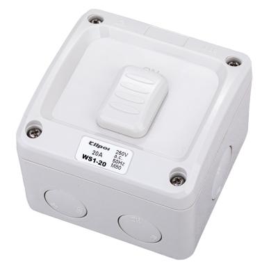 China Australia IP66 Waterproof Fireproof Strip Waterproof Safe Operation Switch 250V 20A Single Pole 2way One for sale