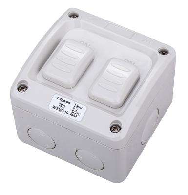 China Safe Operation 250V 20A WS2-20 AS/NZS Waterproof Flame Retardant Industrial Dual Switch Waterproof for sale